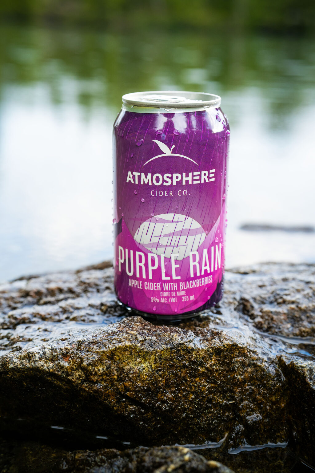 A can of Purple Rain on a wet rock by the water
